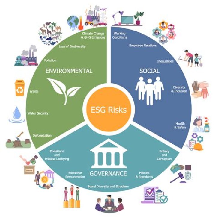 Uncovering Hidden Gems And Social Impact