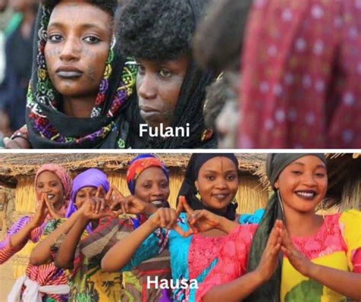 Unveiling The BBC Hausa Language: Discoveries And Insights