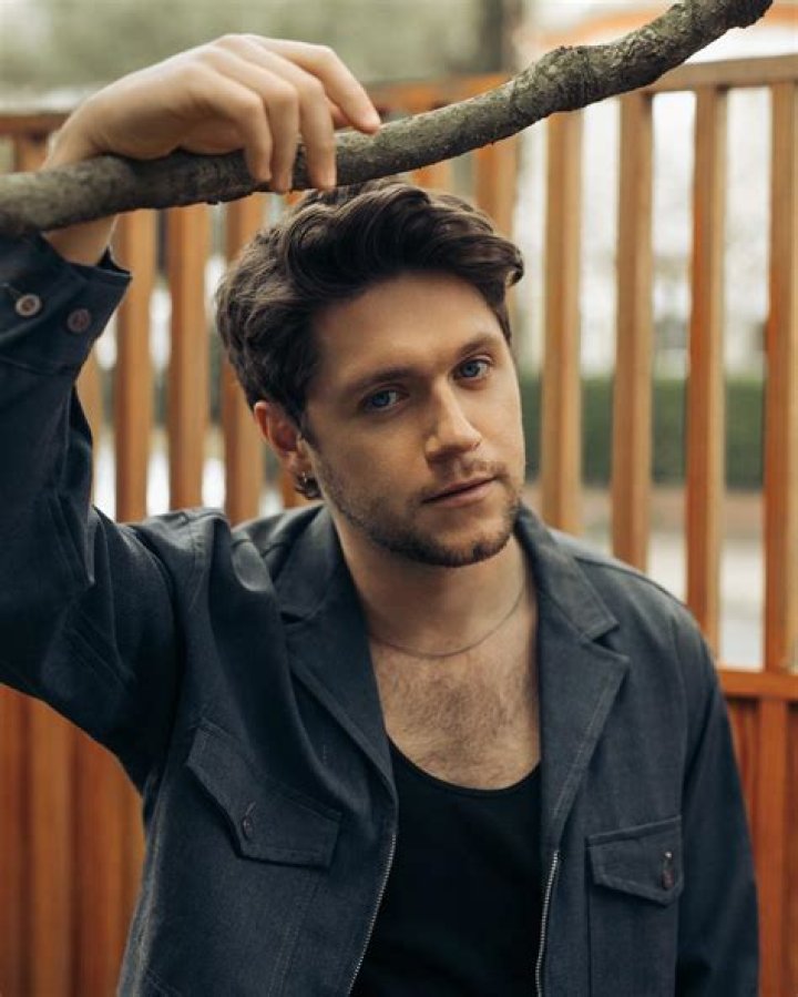 Unveiling The Origins Of Niall Horan: Discoveries And Insights